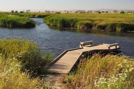 Fremont Coyote hills
