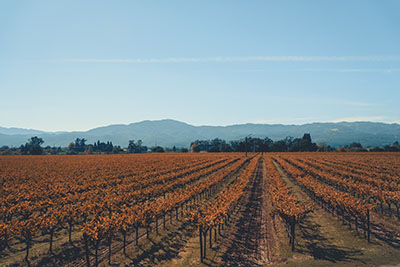 Napa Valley California wine country